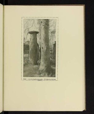 Säule der Familie Hudtwalcker. St. Catharinen-Friedhof in Hamburg