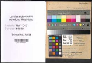 Entnazifizierung Josef Schweins , geb. 17.02.1892 (Beamter)