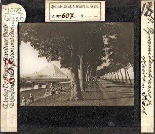 Kairo nach Gizeh. Pyramidenstrasse (Stoedtner-Nr. 4919)