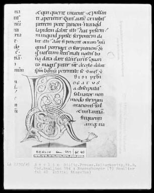 Homiliarium — Initiale R(ogatus), Folio 40recto
