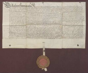 Vertragsbrief des Markgrafen Karl II. von Baden-Durlach in dem Streite zwischen Eitel Dietrich von Gemmingen und der Gemeinde Steinegg über den Weidgang in den Steinegger Bühl