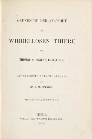 Grundzüge der Anatomie der wirbellosen Thiere