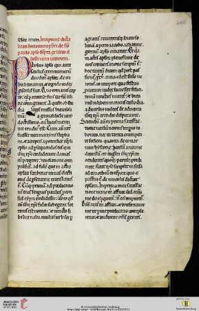 Hieronymus: De viris illustribus, cap. 5