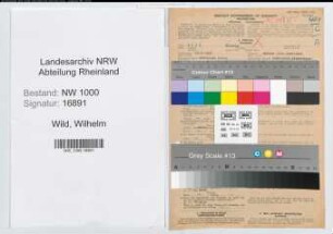 Entnazifizierung Wilhelm Wild, geb. 25.06.1903 (Stadtoberinspektor)