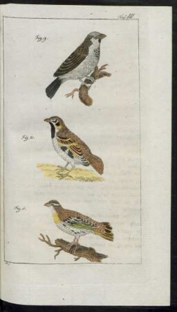 Fig. 9. - Fig. 11.