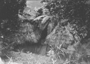 Dorf : Blick auf ein Dorf mit Hütten inmitten tropischer Vegetation