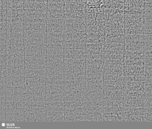 Lilie / CVC = S.7/8