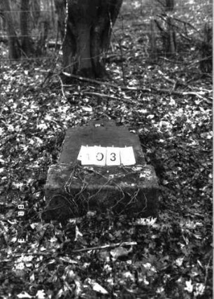 Grabstein 1035