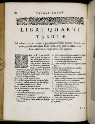 Libri Quarti Tabulæ.