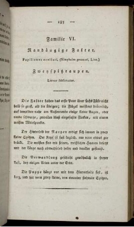 Familie VI. Randäugige Falter.