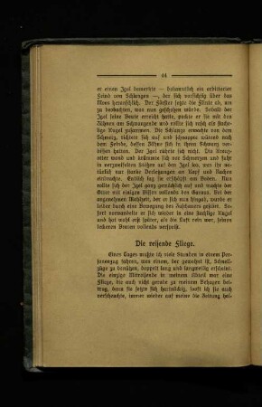 Die reisende Fliege