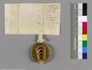 (Graf Albrecht II. von Anhalt)