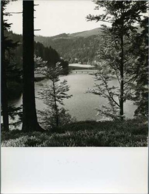 Stausee bei Sankt Blasien