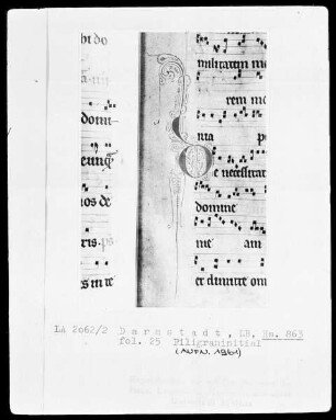 Graduale — Initiale D (e necessitat), Folio 25recto