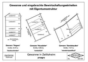 Gewanne in Zeilitzheim preagro