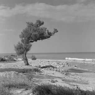Strand am Schwarzen Meer