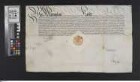 Wimpfen: Kaiser Maximilian II. erlaubt Bürgermeister und Rat der Stadt Wimpfen auf ihre Bitte hin, zur Versorgung ihrer innerhalb und außerhalb der Stadt wohnenden und der Augsburgischen Konfession zugehörigen Bürger zwei Prädikanten derselben Konfession anzustellen. Zur Aufrechterhaltung der alten katholischen Religion sollen keine Prädikanten geduldet werden, die auf der Kanzel Schmäh- und Scheltworte gebrauchen. Zwischen den Bürgern soll durch diese Erlaubnis kein Unfriede entstehen und in Lehre und Vollziehung des Hl. Abendmahls soll keine andere Lehre gestattet werden, als diejenige, die in der ersten 'Augsburgischen Confession' enthalten ist, worauf die ankommenden, examinierten Prädikanten jederzeit verpflichtet sein sollen.