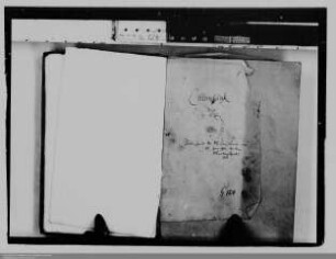 Graf Floris von Culemborg ./. seine Ehefrau, Philippa Sidonia, geb. von Mandenscheid: Misshandlung und Vergewaltigung