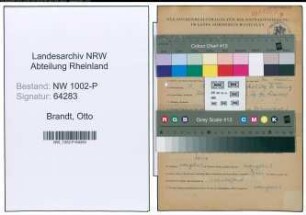 Entnazifizierung Otto Brandt , geb. 11.12.1904 (Polizeibeamter)