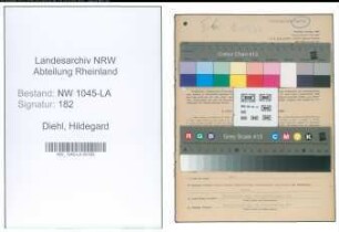 Entnazifizierung Hildegard Diehl , geb. 29.03.1921 (Angestellte)