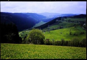 Saig: vom Kuhberg zur Hochhalde, Richtung Altglashütten