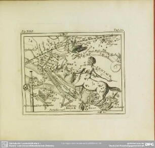 Fig. XXXII