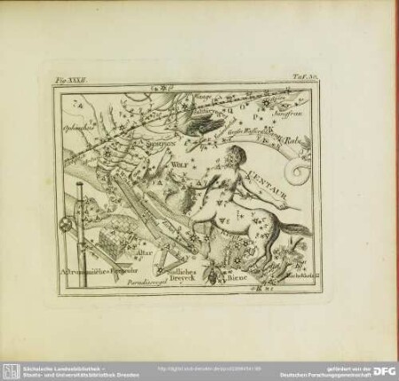 Fig. XXXII
