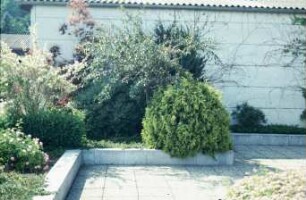 Fotografie: Gartenbau