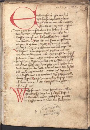 Macer floridus - BSB Cgm 384