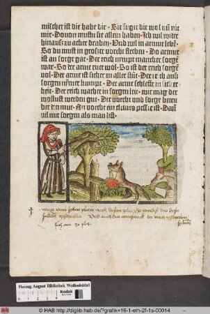 Vom Fuchs und dem Adler