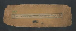 འཕགས་པ་ཚེ་དང་ཡེ་ཤེས་དཔག་ཏུ་མེད་པ་ཞེས་བྱ་བ་ཐེག་པ་ཆེན་པོའི་མདོ