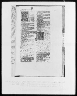 Heisterbacher Bibel — Zwei Initialen D, Folio 463recto