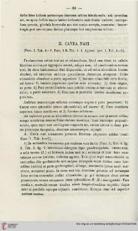III. Cavea nasi