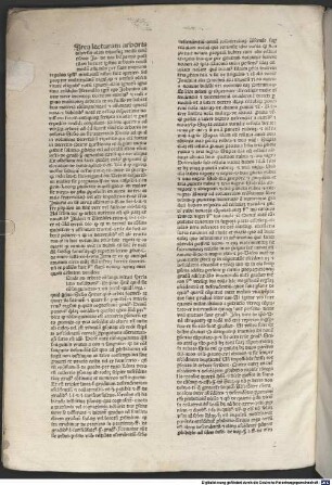Lectura super arboribus consanguinitatis et affinitatis
