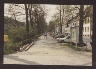 Allee, Blick nach Süden. Detmold