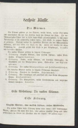 Sechste Klasse. Die Würmer.