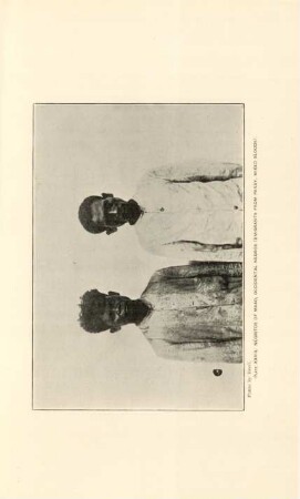 Plate XXVIII. Negritos of Maao, Occidental Negros (Emigrants from Panay, mIxed bloods)