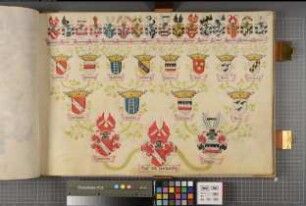 Proband: Haxthausen, Wolf von; Vater: Haxthausen, [Heinrich] von; Mutter: Westphalen, [Anna Catharina] von: Westfalen, Hzgtm, Ritterschaft