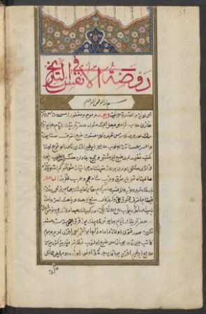 Rauḍat al-anfus fi-t-tārīḫ