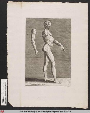 Darstellung eines nackten Mannes in der Seitenansicht mit einzeln anbgebildetem rechten Arm.
