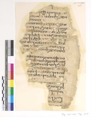 Lk. XIV, 26 - 35