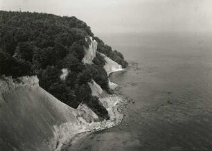 Jasmund. Ostseeküste, Kreidekliff am Kollicker Ort. Blick vom Hohen Ufer nach Norden