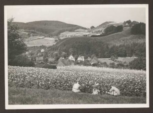 Blick vom Stemberg zum Hangstein. Detmold