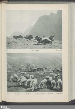 Mittagsrast