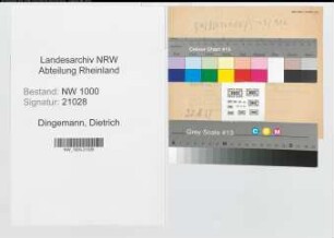 Entnazifizierung Dietrich Dingemann, geb. 08.05.1893 ()