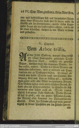V. Capitel. Vom Arbor tristis