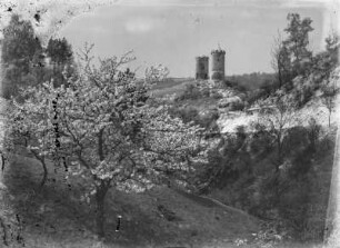 Burg Saaleck : Blick zur Burg Saaleck
