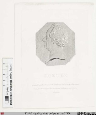 Bildnis Johann Wolfgang Goethe (1782 von)