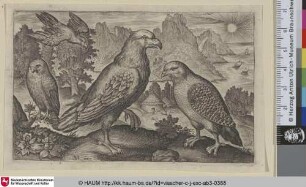 [Ein Adler, ein Rebhunh und ein Falke]