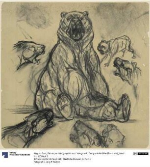 Skizze zur Lithographie aus "Kriegszeit": Der gestellte Bär (Russland)